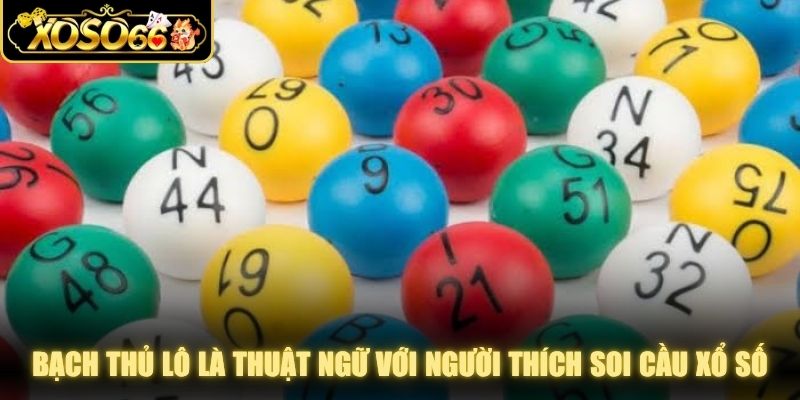 Bạch thủ lô là thuật ngữ quen thuộc với người thích hình thức soi cầu xổ số 