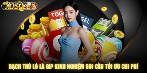 Bạch Thủ Lô Là Gì? Kinh Nghiệm Soi Cầu Tối Ưu Chi Phí