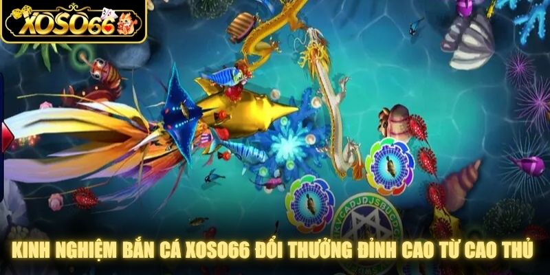 Kinh nghiệm bắn cá XOSO66 đổi thưởng đỉnh cao từ các cao thủ lâu năm
