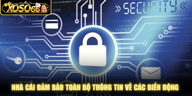 Nhà cái đảm bảo toàn bộ thông tin về các biến động cá cược online