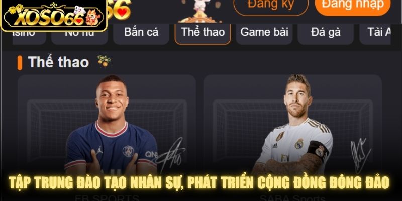 Tập trung đào tạo nhân sự, phát triển cộng đồng đông đảo tương lai