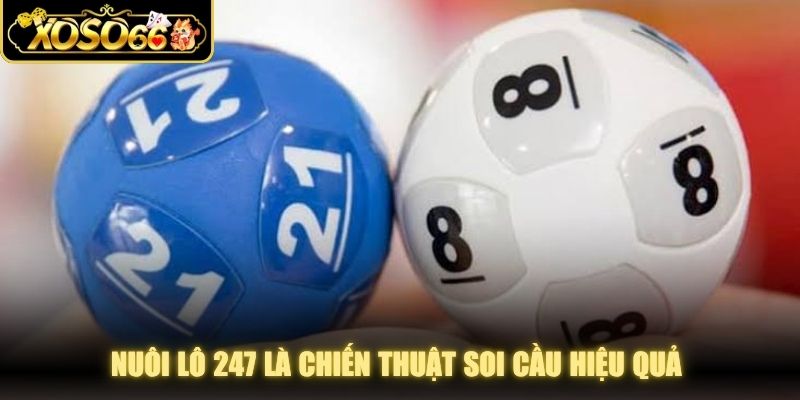 Nuôi lô 247 là chiến thuật soi cầu hiệu quả được nhiều người lựa chọn