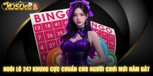 Nuôi Lô 247 Khung Cực Chuẩn Cho Người Chơi Mới Nắm Bắt