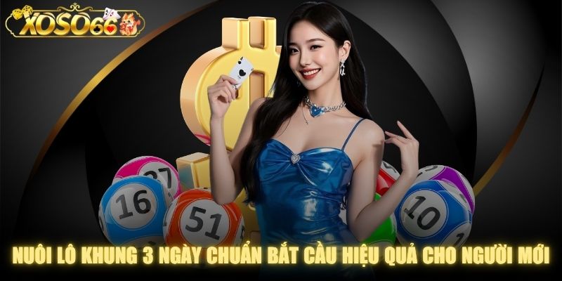 Nuôi Lô Khung 3 Ngày Chuẩn Bắt Cầu Hiệu Quả Cho Người Mới