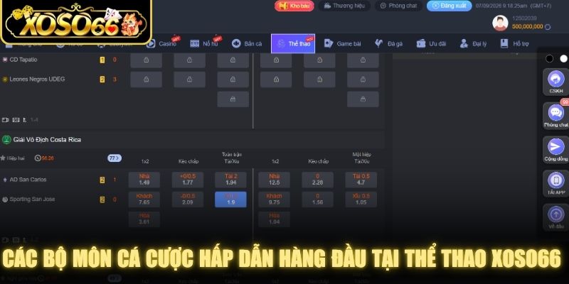 Các bộ môn cá cược hấp dẫn hàng đầu tại thể thao XOSO66 hiện nay