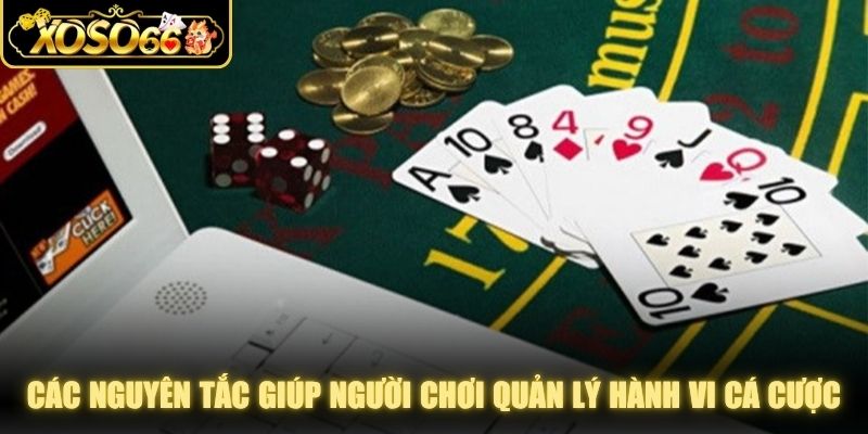 Các nguyên tắc giúp người chơi quản lý hành vi cá cược