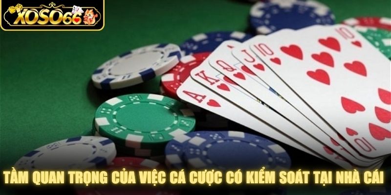 Tầm quan trọng của việc cá cược có kiểm soát tại nhà cái XOSO66