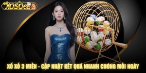 Xổ Số 3 Miền - Cập Nhật Kết Quả Nhanh Chóng Mỗi Ngày