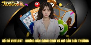Xổ Số Vietlott - Hướng Dẫn Cách Chơi Và Cơ Cấu Giải Thưởng